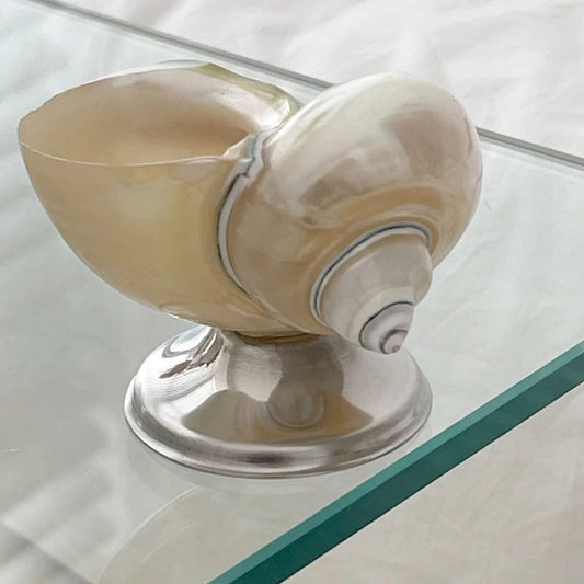 Seashell Mini Bowl